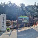 여수봉황산자연휴양림 이미지