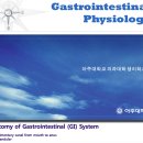 Re: Gastric acid 위산 - 위키디피아 자료 이미지