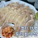 가평 맛집 가평 횟집 두리 회수산 물회 포장 후기