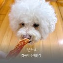 수제간식손수 | 강아지 간식 고민 끝 펫카소 닭가슴살 국산 수제간식 후기