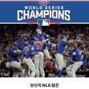 MLB 돌잡이가 어쩌고 뒷북이 어쩌고 이미지