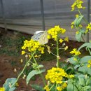 (주)호성 이미지