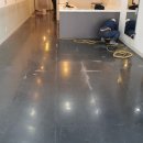 루하's 펫살롱 이미지