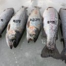 축제펜션 이미지