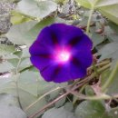 황매 경로당 이미지