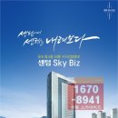 스카이비즈