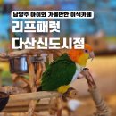 버드리식당 | 남양주 아이와 가볼만한 이색 카페 리프패럿 다산신도시점