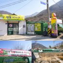 양산기장축협 하나로마트 | 양산 원동 미나리 축제 미나리삼겹살 맛집 23번신선농원