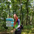 환선봉에서 이미지