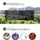 농업회사법인 주식회사 뽕을품은 누에 이미지