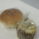 욥 | 당산 베이커리 "욥" 크림단팥빵 재방문후기