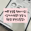 태평양프라자 | [공지] [부천눈썹문신] 자연스러운 부천눈썹 '샵치치브로우' 솔직후기!