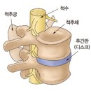 채음한방병원 이미지