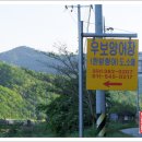 남지향어회 Daum카페