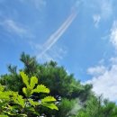 하늘정원2 이미지