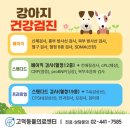 고덕 동물의료센터 | 상일동 고덕동물의료센터 8살 강아지 건강검진 동물병원 추천
