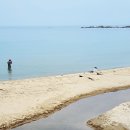 제진역 PLZ음악회 이미지