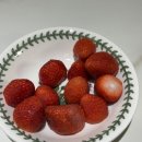 오피스야호 | 야호 이번달 지출 레전드💸