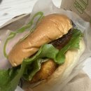 [동해] FRANK BURGER|프랭크버거 동해점