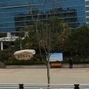 동구청 광장 이미지