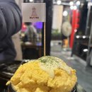 모쿠, 또모쿠 | 💛애견동반 경주여행💛 1편