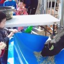 한밭목장 이미지
