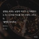 [로맨스/웹소설 리뷰] 뫼비우스 - 문사월 (스포 O)
