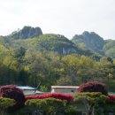 서산 팔봉산 목장 네이버블로그