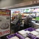 신선채소