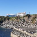 홍지농장 이미지