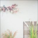 페이지스튜디오 이미지