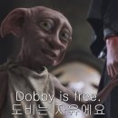 쌍금이네 이미지