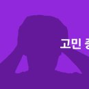 비플로우 이미지