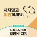 신영재동물병원 이미지
