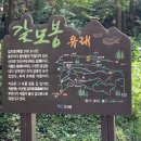 고성갈모봉 자연휴양림 이미지