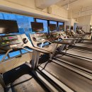 레디 바디 이미지