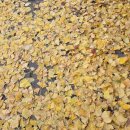 마포그랑자이부동산공인중개사사무소 | 마포프레스티지자이(마프자) 중개사무소 입성기(2탄)