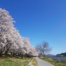 대성관광지 이미지