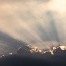 비로소, 겨울 하늘 이미지