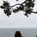 주상절리대 | 제주 서귀포 중문 ‘대포주상절리대’ 후기 🌊 ｜자연이 만든 기하학적 조각, 그리고 압도적인 중국인...
