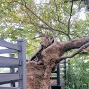 죽전마을 이미지