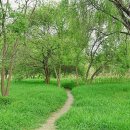 같은마음 이미지