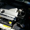 진례카타이어 이미지