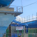 갯벌 | 선재도 목섬 갯벌체험장 후기 – 트랙터 타고 들어간 진짜 왕게잡기 현장