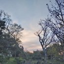 수산본향당 이미지