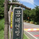 곰내추어탕 이미지