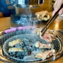 조무락하우스 | 2025 KT 보야지 투 자라섬 후기(비 오는 날 페스티벌)
