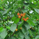 가재골농장 이미지