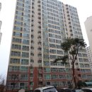 광산구-161 네이버블로그