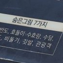 화천시티투어(평화누리호) 네이버블로그